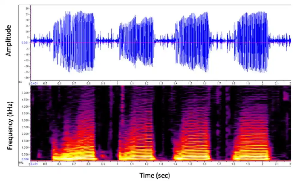 music-into-lyrics-conversion